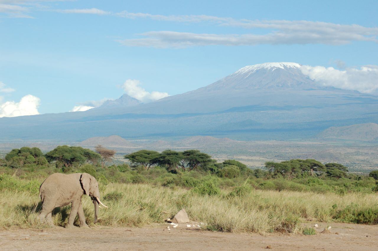 kilimanjaro-by-cjasik