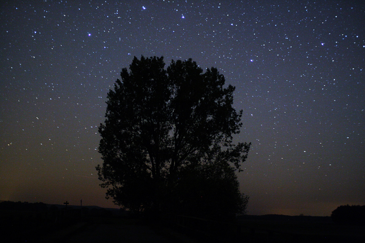 ver las estrellas turismo astronomico stargazing skywesthavelland