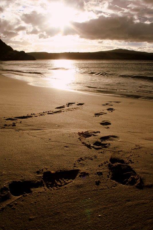 top reasons to do the NC500