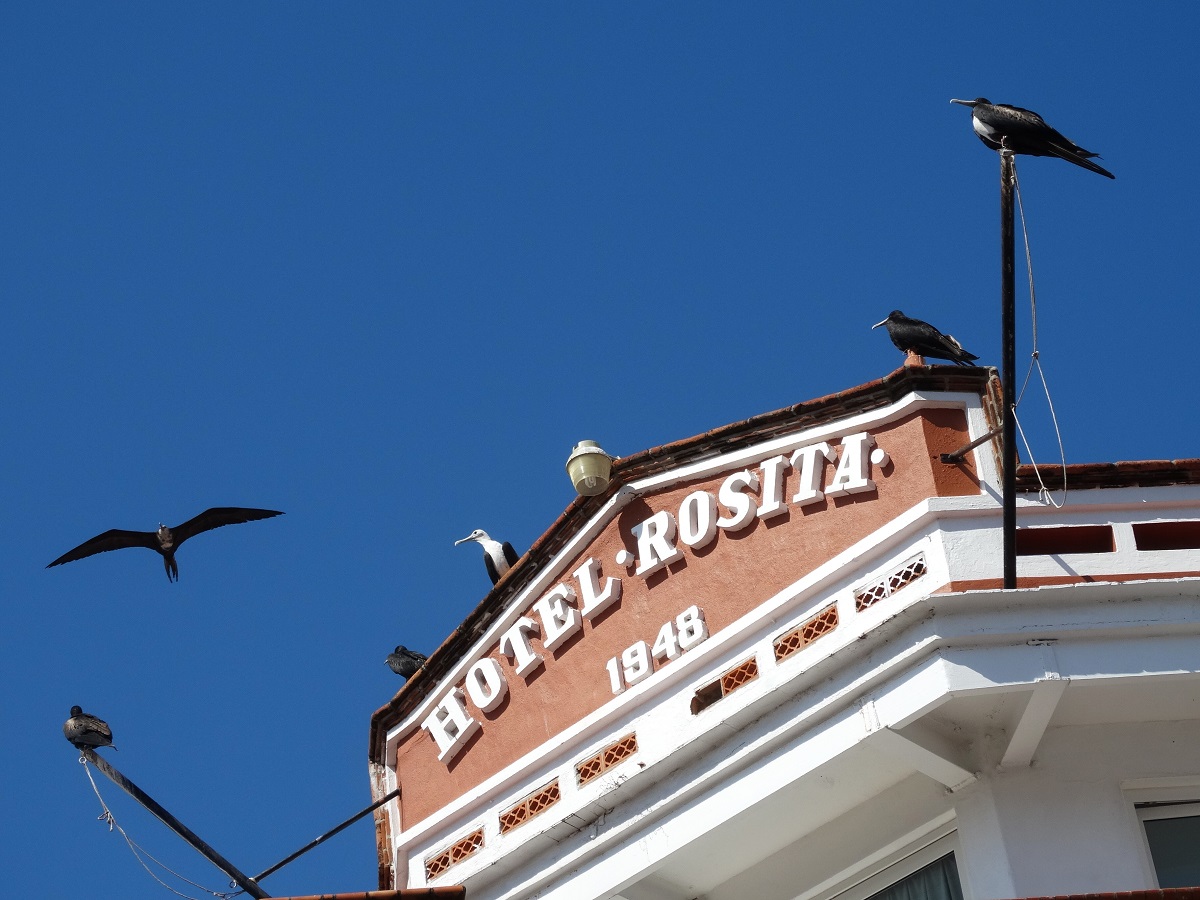 Hotel Rosita Vallarta