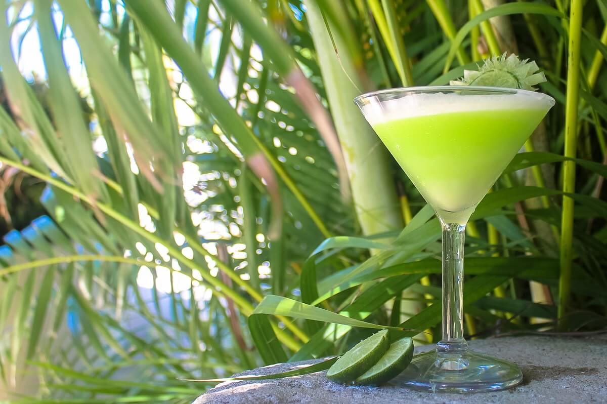 margarita puerto vallarta