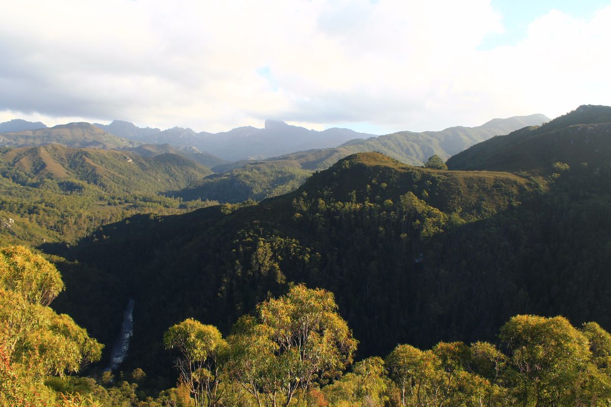 Donaghys Lookout - Franklin River Nature Trail