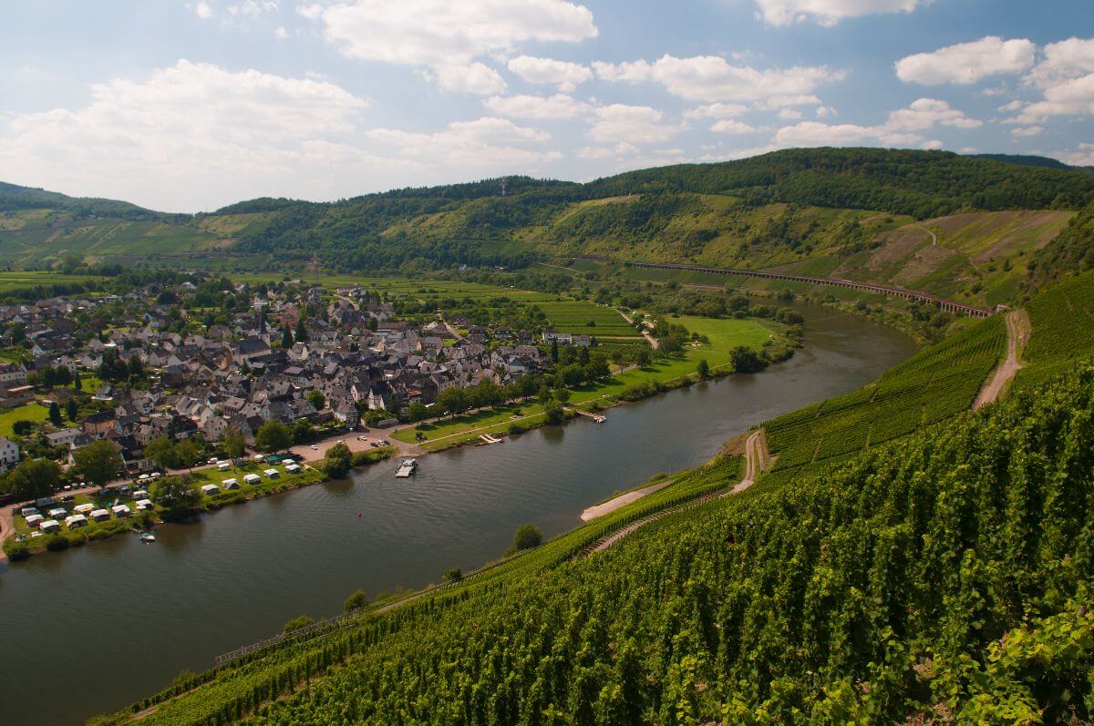 The wine region - Moselle, Germany