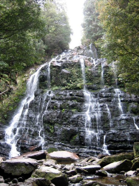 Nelson Falls - Franklin River Nature Trail. Tasmania