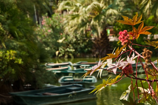 Barques sur l'eau au Parc de la Ciutadella à Barcelone 