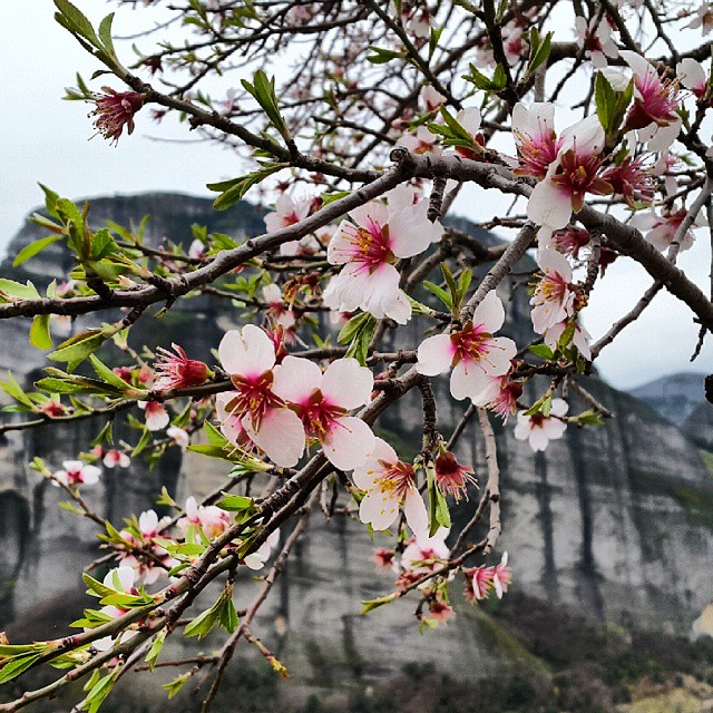 © miss__sm 266-insta-trivago Magazine-afieroma-sta-meteora-tou-marti