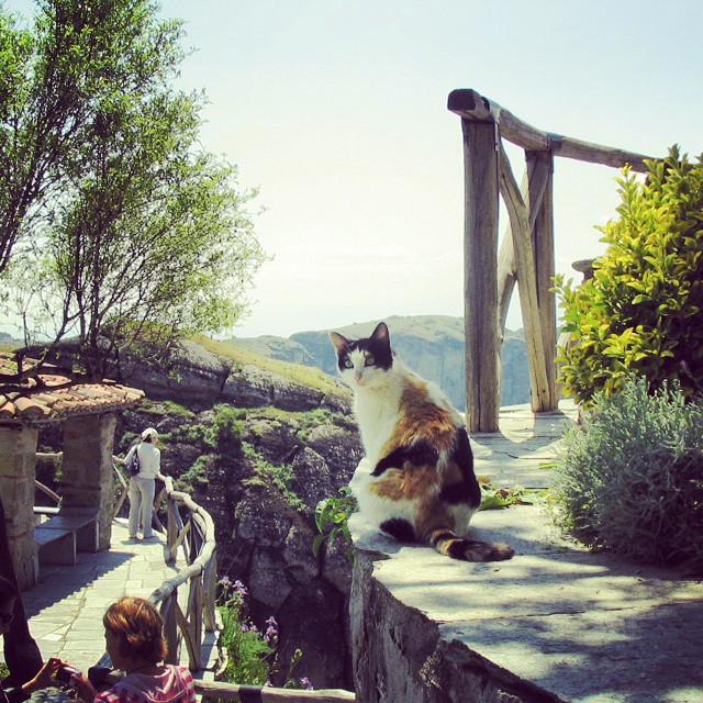 © tamarche 266-insta-trivago Magazine-afieroma-sta-meteora-tou-marti