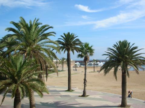 5145464_l Blick auf die Promenade der „Platja de la Barceloneta“