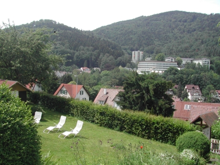 blick_fidel Blick in die grüne Landschaft vom Hotel aus