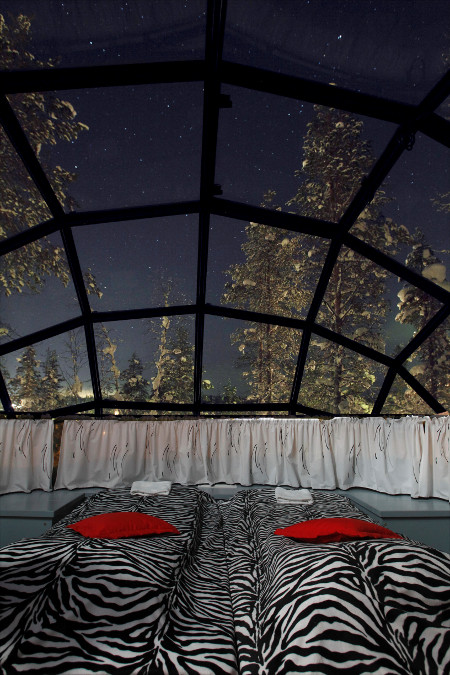 igloo_room