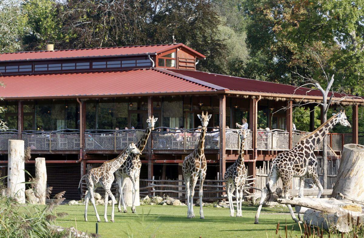 Familienurlaub Leipzig Kiwara Lodge im Leipziger Zoo