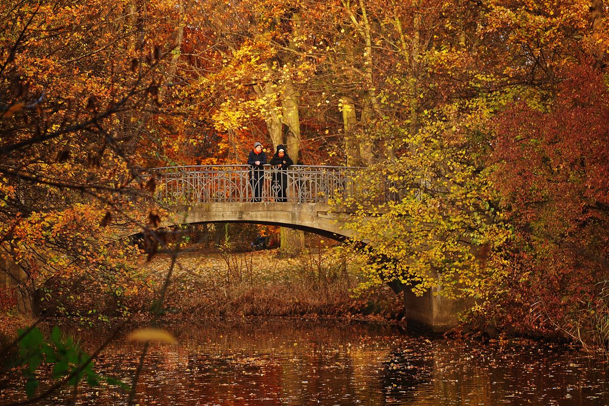 Palmengarten im Clara-Zetkin-Park Leipzig