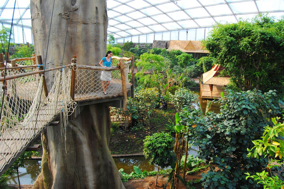 Baumwipfelpfade im Gondwanaland des Zoo Leipzig